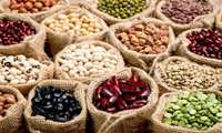 ابلاغ مصوبه قیمت تضمینی سایر محصولات زراعی برای سال زراعی 04-1403